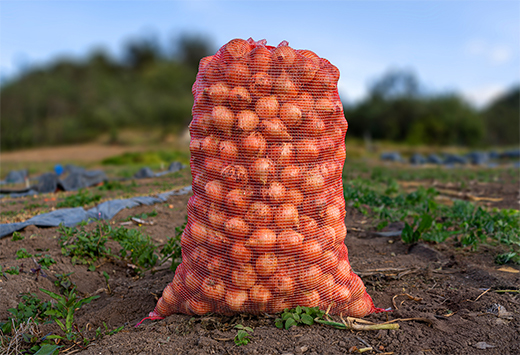 Yeni Nesil Ambalaj Çözümleri: Yıldırım Ambalaj ile Üretiminize Değer Katın